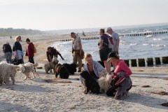 Puliklub-am-Strand